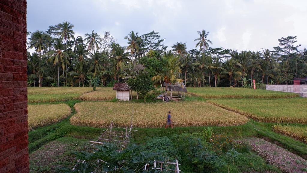 Wayan Garden Hotel Ubud  Ngoại thất bức ảnh